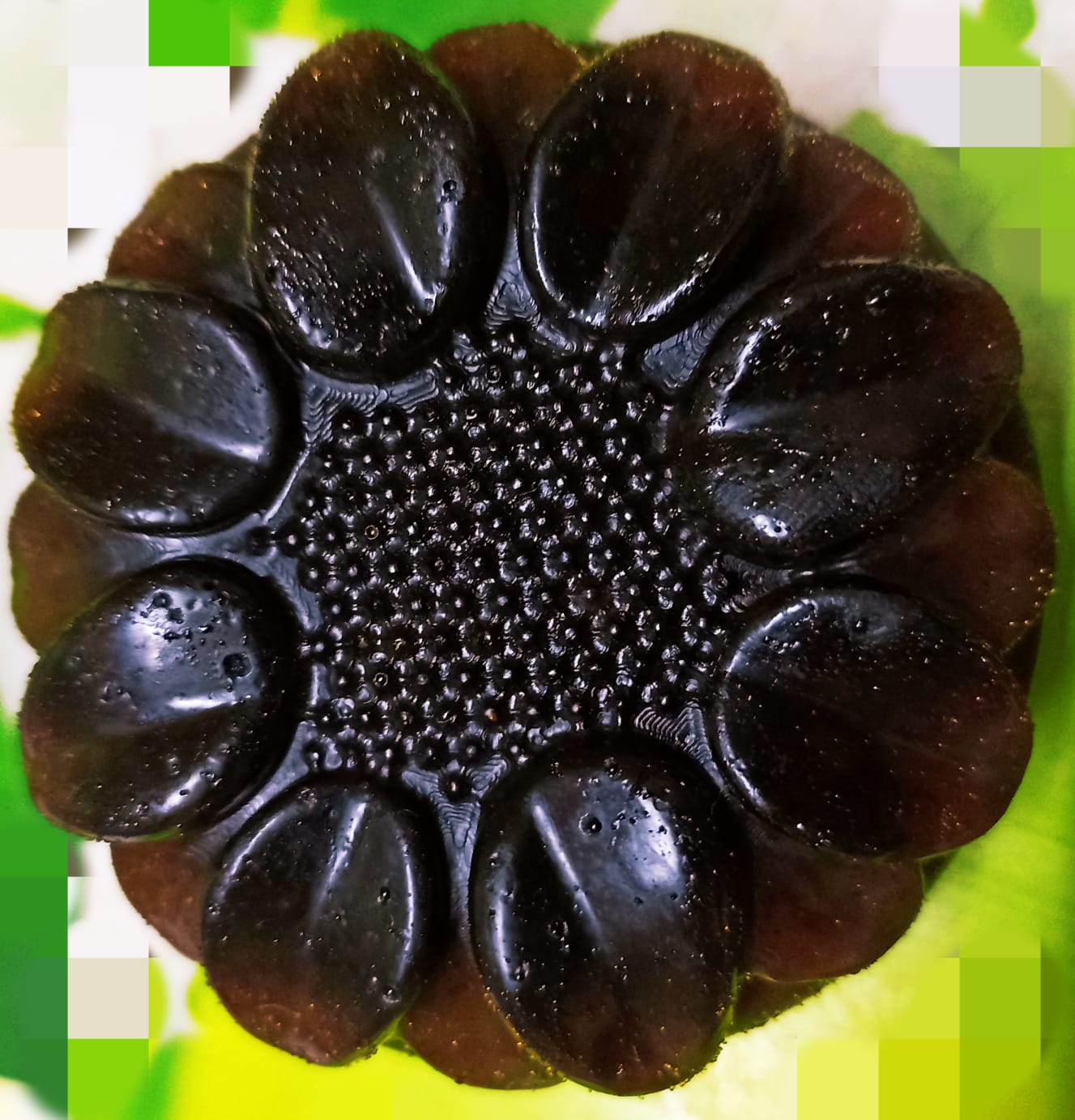 Textured Herbal Botanical Soap